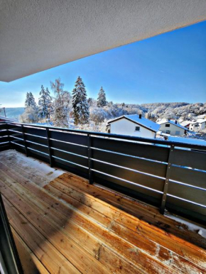 Lions Place Premium Apartments EXECUTIVE Luxus PENTHOUSE inklusive SPA